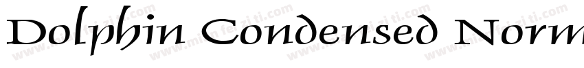 Dolphin Condensed Normal字体转换